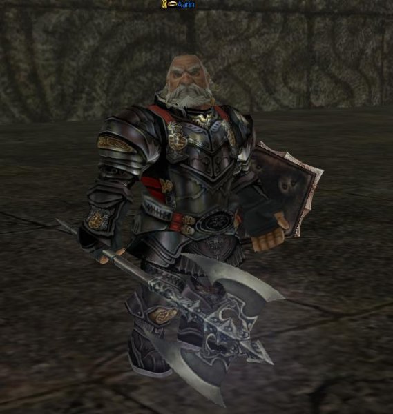 aarin3.jpg