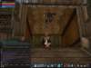 aarin6_small.jpg