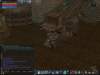 aarin7_small.jpg