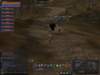 clanraid2_small.jpg
